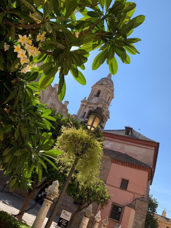 Picasso City Center 1A Malaga Zewnętrze zdjęcie