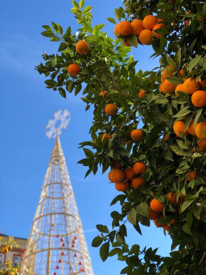 Picasso City Center 1A Malaga Zewnętrze zdjęcie